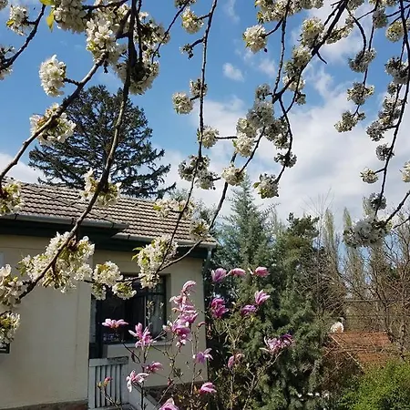 Sine Cura Nyaralo Apartment Abrahamhegy