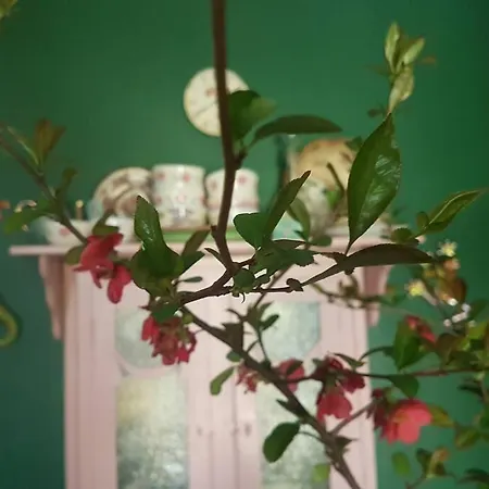 Apartment Sine Cura Nyaralo Ábrahámhegy