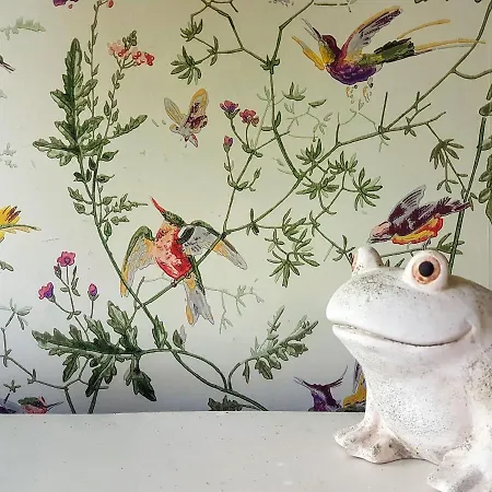 Sine Cura Nyaralo Apartment