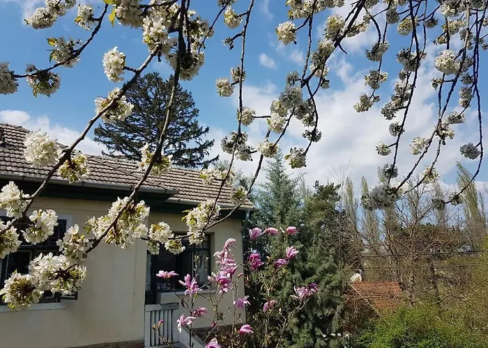 Sine Cura Nyaralo Apartament Ábrahámhegy