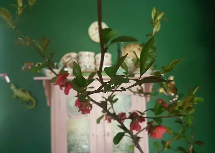 Apartament Sine Cura Nyaralo Ábrahámhegy